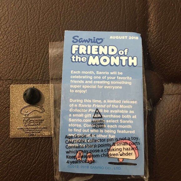 NWT Sanrio pin - Picture 3 of 3